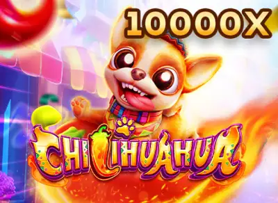 SB88 Chi Hua Hua