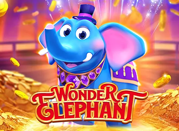 SB88 Wonder Elephant